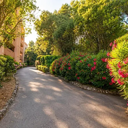 Apartmán T2 Santa Lucia, Terrasse Jardin, Clim Et Wifi *